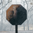 It Seems Odd That We Would Just Let the World Burn