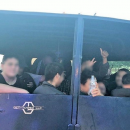 21 Migrants Found in Horse-Trailer Smuggling Incident in Texas near Border