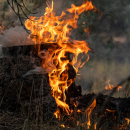 Biden and Congress are so close to a grand plan for climate action and economic recovery