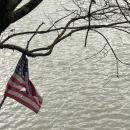 Imagine a Nation Like This – CounterPunch.org