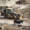 And Now for Something Completely Different: Awarding Khan Al-Ahmar’s Squatters Israeli Passports