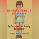 Blue State Blues: Burning Books in America, Burning Cities in South Africa