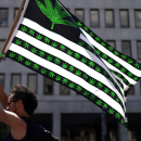 New bill to legalize marijuana at federal level but allows states to maintain prohibition