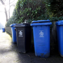 Call for clarity on self-isolation exemptions as bin collections hit