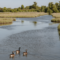Federal Judge Strikes Down Trump Rule Governing Water Pollution