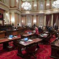 New head of California Catholic Conference sees battles over Church healthcare | Crux Now