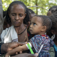 Main road for aid to embattled Ethiopian region ‘impassible’