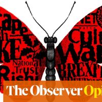 National Trust members get ready to choke on your carrot cake | Stewart Lee