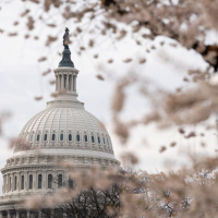 New loophole could let former Congress members use campaign funds on personal expenses