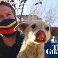 What our treatment of Afghan people tells the world about us | Letters