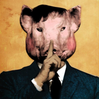 Private Enterprise is the Issue, Not Big Government