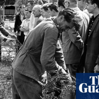 Berliners wake to a divided city - archive, August 1961