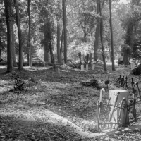 When Black History Is Unearthed, Who Gets to Speak for the Dead?