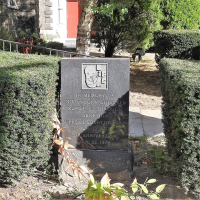 Texas abortion law derangement syndrome