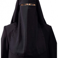 Professor preposterously says 9/11 was an attack on America’s heteropatriarchal capitalist systems