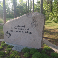 The disbarred back in the courtroom