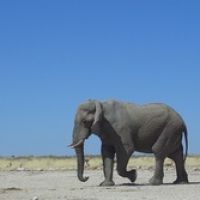 How Republicans could blow the midterms in what should be a slam-dunk state