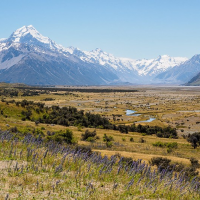 Silicon Valley, New Zealand and Pandemic Exceptionalism – CounterPunch.org