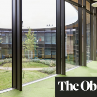 A grove, not Gove – the primary school with nature at its heart