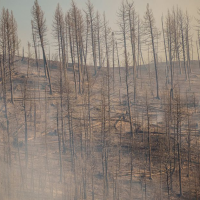 Eric Hubner: We have ‘zero years’ to deal with climate change