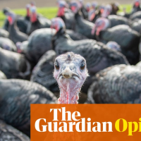 Conservative Party (UK) Img