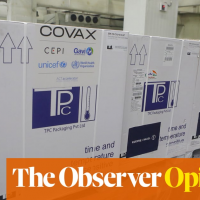 Why can’t we tackle Covid and climate heating? Nationalism and stupidity | Nick Cohen