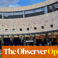 We’ve done it before, others do it now – a national housing plan is not beyond our wit | Rowan Moore