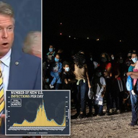 Senate blocks release of migrants without negative COVID test