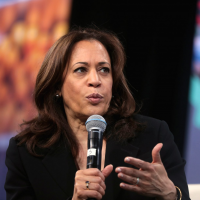 Families of Vietnamese political prisoners ask US Vice President to pressure Hanoi for their release | American Military News