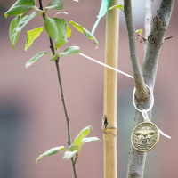 DHS Secretary Mayorkas: 20 years after 9/11, the fight for safety includes divisiveness at home