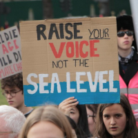 The Climate Strike That Wasn’t: What’s Behind Declining Protest in 2021?