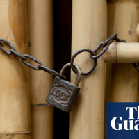 Vietnamese activists routinely placed under house arrest, report finds