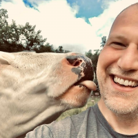 White extremism is winning in my Vermont town. I’m selling my animal sanctuary and moving.