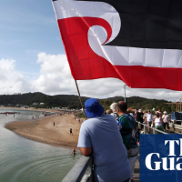 'Like a forest without birdsong': Waitangi Day becomes more reflective as Covid takes toll
