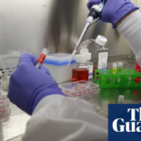 UK could allow animal tests for cosmetic ingredients for first time since 1998