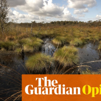 The Guardian view on Cop26: rhetoric must turn into action in Glasgow | Editorial