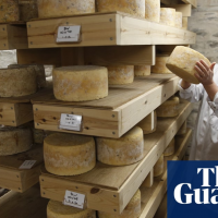 Brexit: food and drink exports to EU suffer ‘disastrous’ decline