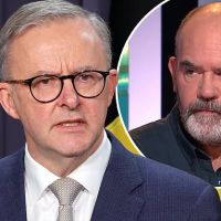 Anthony Albanese ‘rub-and-tug’ massage joke on HYBPA