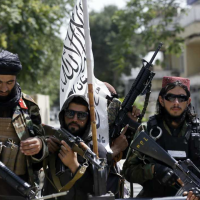 The Bitter Fruits of Interventionism