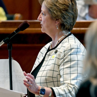 Senators advance congressional map with one majority-Black district, amid questions over legal contract