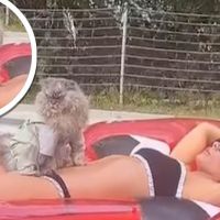 Kate Beckinsale lounges on a lilo with her cat Clive
