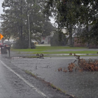 Amid battle over who controls anti-flooding projects, Ascension president, council agree to new deal