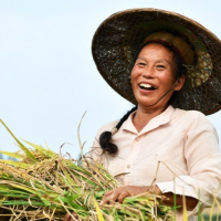 Country holds high the banner of democracy