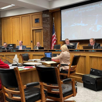 Louisiana GOP lawmakers outline opposition to two majority-Black congressional districts