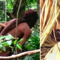 Loneliest man in the world found dead covered in macaw feathers