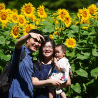 Nation’s democracy works to ‘solve people’s problems’