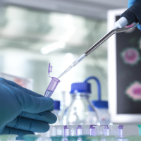 Russia presents new evidence on Ukraine biolabs, comments on links to Biden and US  —  RT Russia & Former Soviet Union