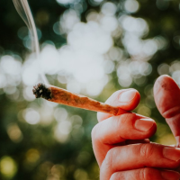 Pennsylvania lawmakers introduce bill to legalize recreational marijuana use