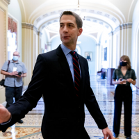 Sen. Cotton discredits UN for going easy on Taliban