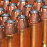 Ammo shortage put hunters, sellers and police in a pinch | American Military News